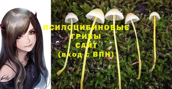 кристаллы Алзамай