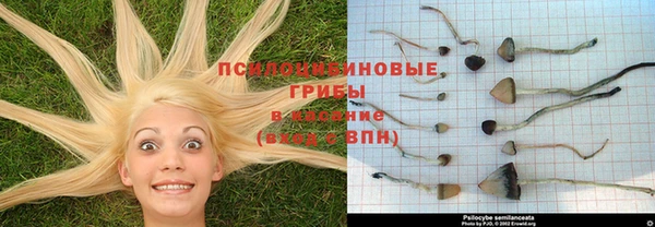 кристаллы Алзамай