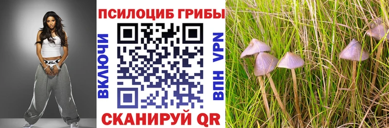 Псилоцибиновые грибы мицелий  Усть-Лабинск 